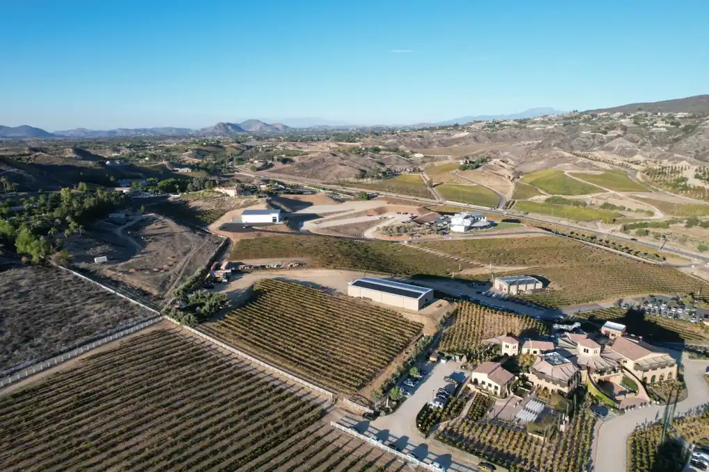 Aerial view of vineyards and rolling hills in Temecula, California